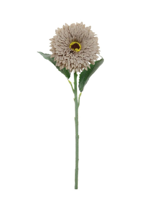 Dried Touch Flocked Gerbera