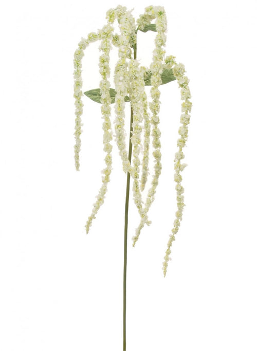 Amaranthus Spray