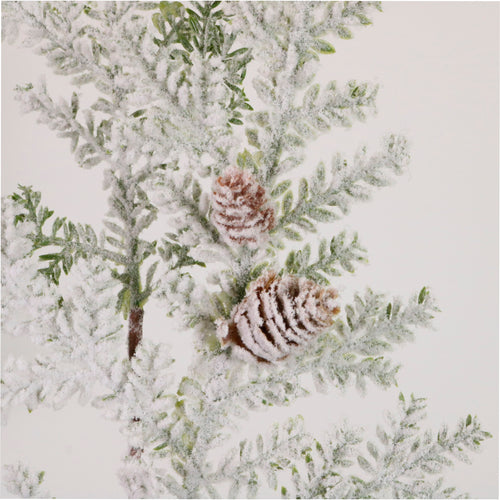 Xmas Snowy Pine & Cone Pic