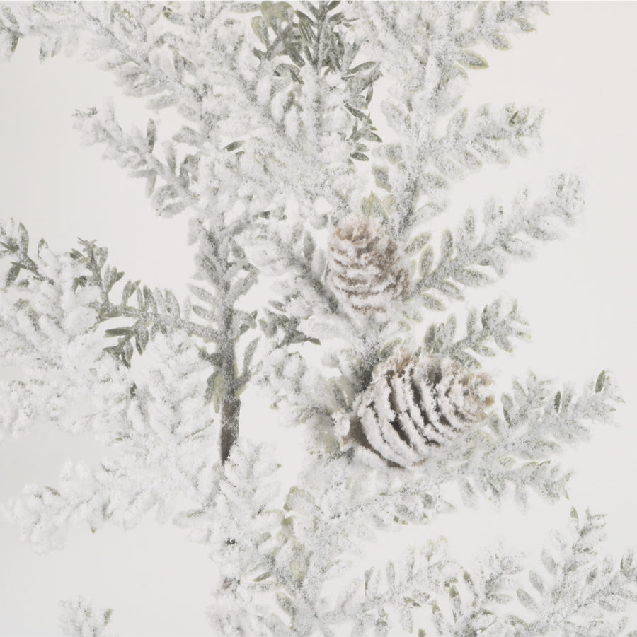 Xmas Snowy Pine & Cone Pic