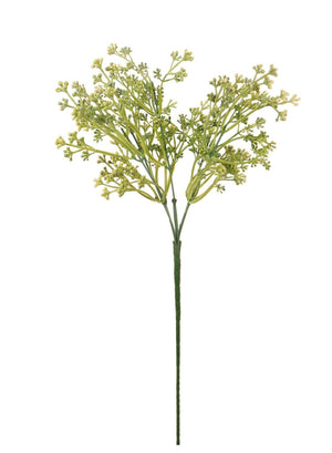 Felicity Bud (long Stem)
