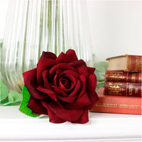 Velvet Open Rose