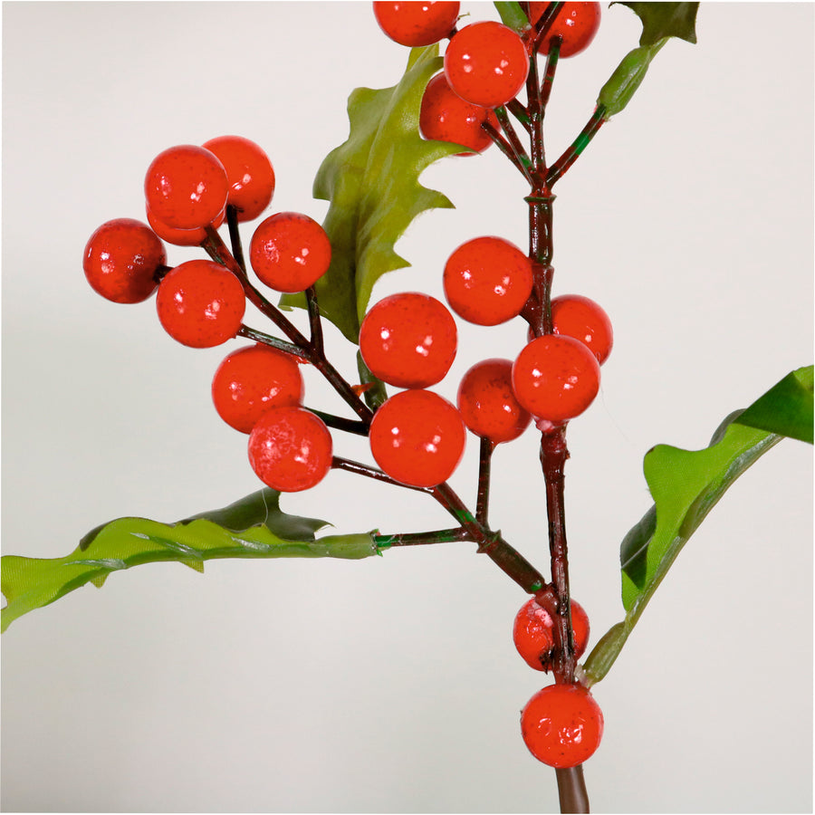 Winter Holly Berry Pic