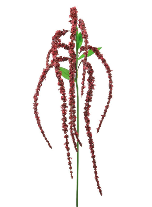 Amaranthus Spray