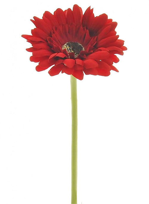 Single Gerbera (small)