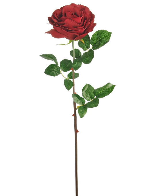 Tudor Rose (long Stem)