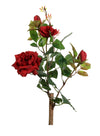 Bush Rose