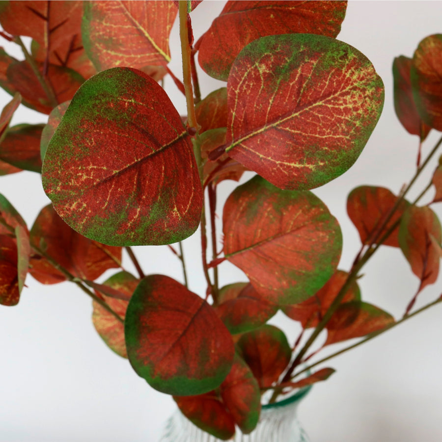 Silver Dollar Eucalyptus Stem (small)