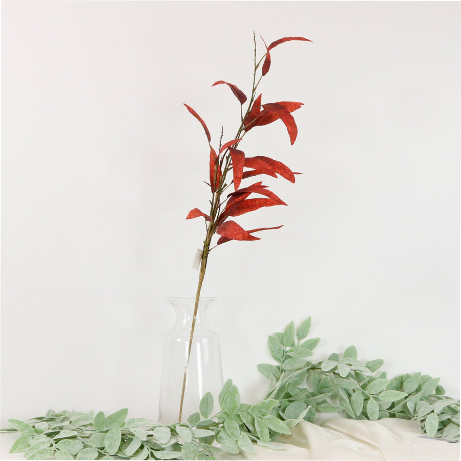 Dried Touch Slim Leaf Branch