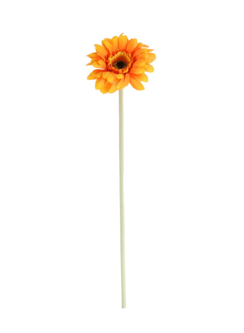 Jemima Gerbera Stem (small)