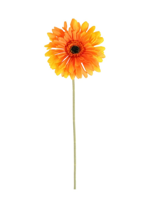 Jemima Gerbera Stem (large)