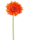 Single Gerbera (small)