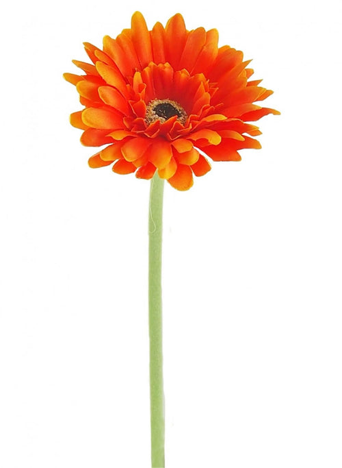 Single Gerbera (small)