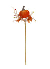 Autumn Wild Velvet Pumpkin <br/>(small)