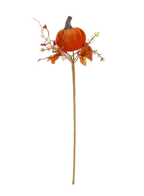 Autumn Wild Velvet Pumpkin (small)