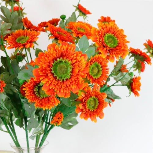 Wild Gerbera Spray