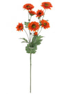 Wild Gerbera Spray