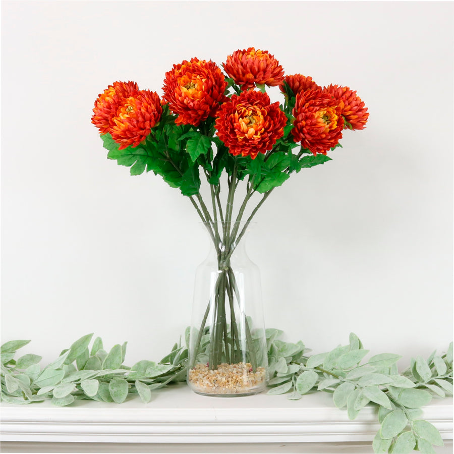 Chrysanthemum Stem