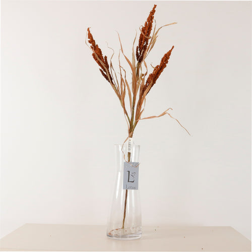 Dried Reed Wheat Spray