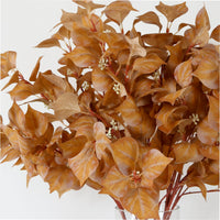 Noah Leaf Spray