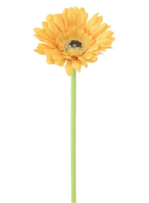 Single Gerbera (small)