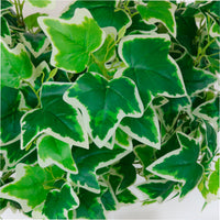 Printed Ivy Leaf Spray (large)