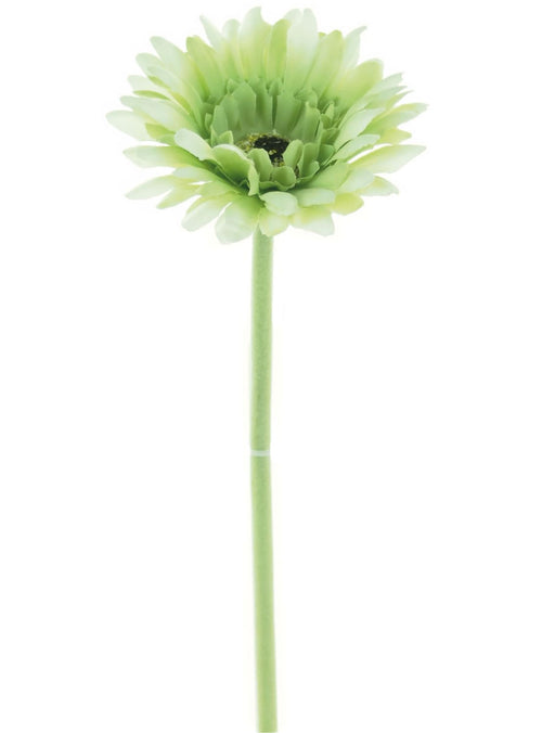 Single Gerbera (small)