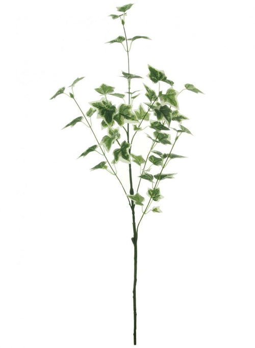 Ivy Stem (medium)