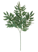 Silk Soft Ruscus Leaf Spray