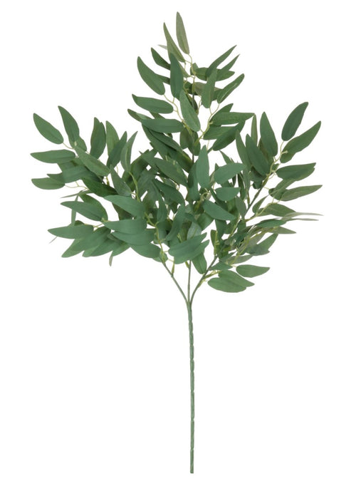 Soft Ruscus Leaf Spray