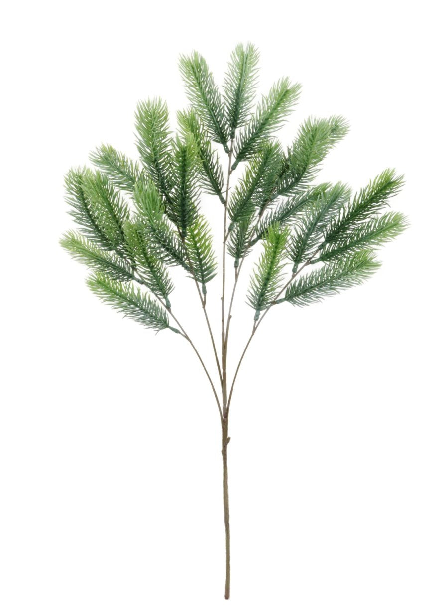 Xmas Spruce Branch