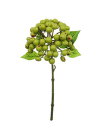 Ball Berry Stem