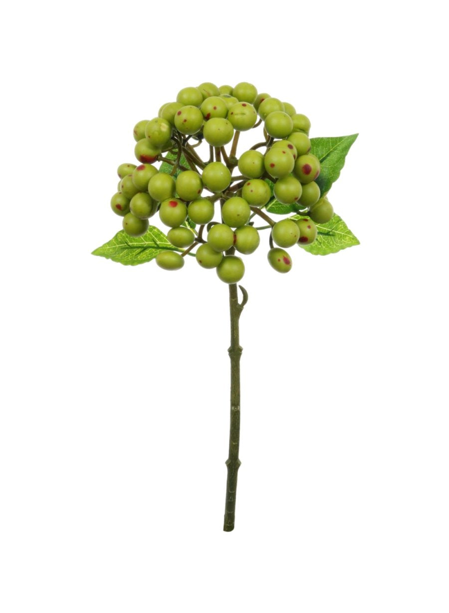 Ball Berry Stem