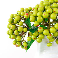 Ball Berry Stem