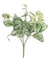 Printed Hypoestes Phyllostachya Bunch (large)