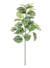 Printed Hypoestes Phyllostachya Spray (large)