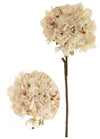 Dried Touch Ruffled Hydrangea