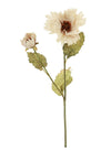 Dried Touch Ruffled Poppy