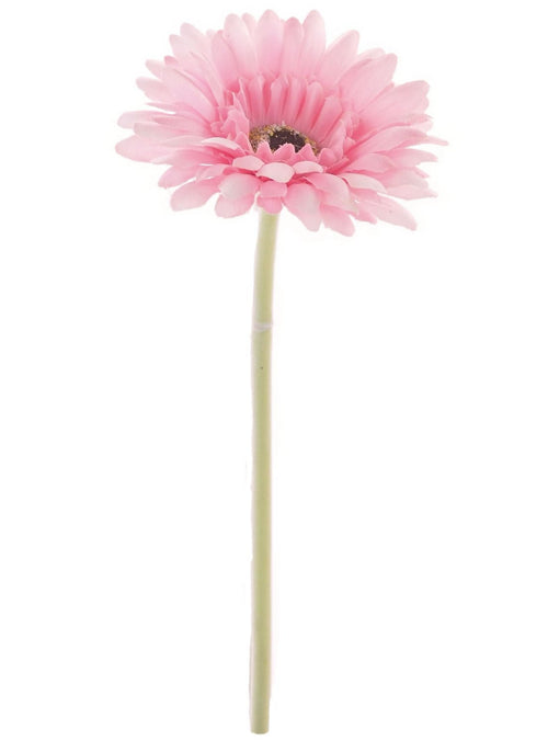 Single Gerbera (small)