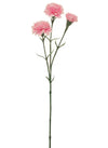 Carnation Stem