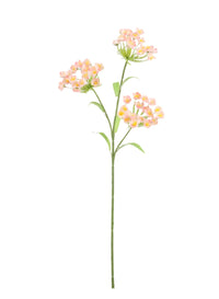 Fairybell Allium Spray