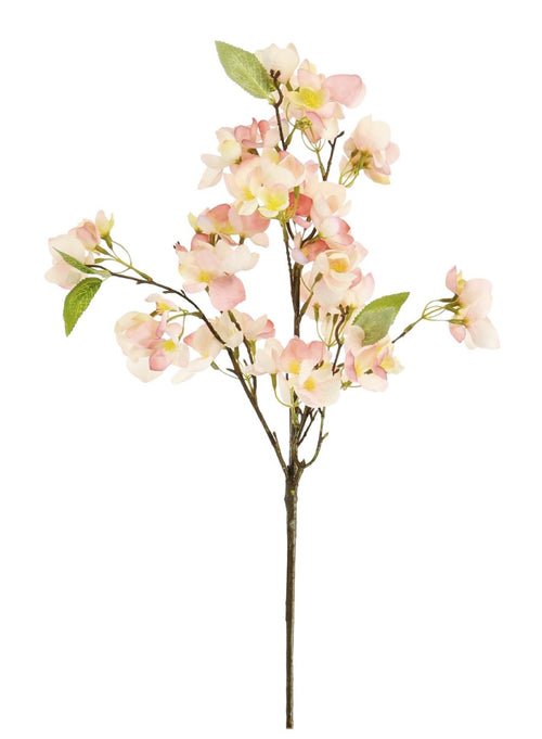 Orchard Blossom Branch