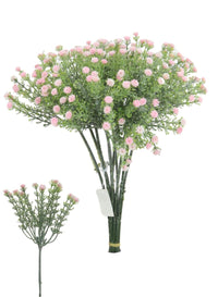 Wild Gypsophila