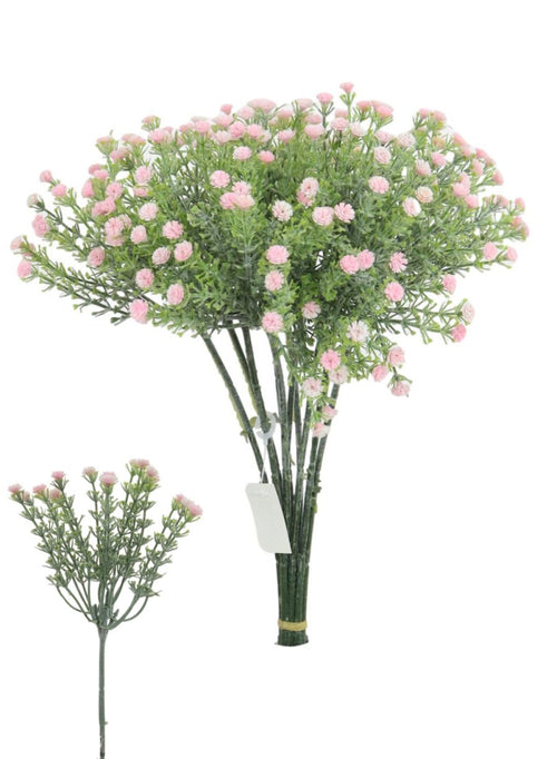 Wild Gypsophila