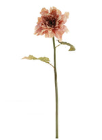 Dried Touch Ruffled Dahlia