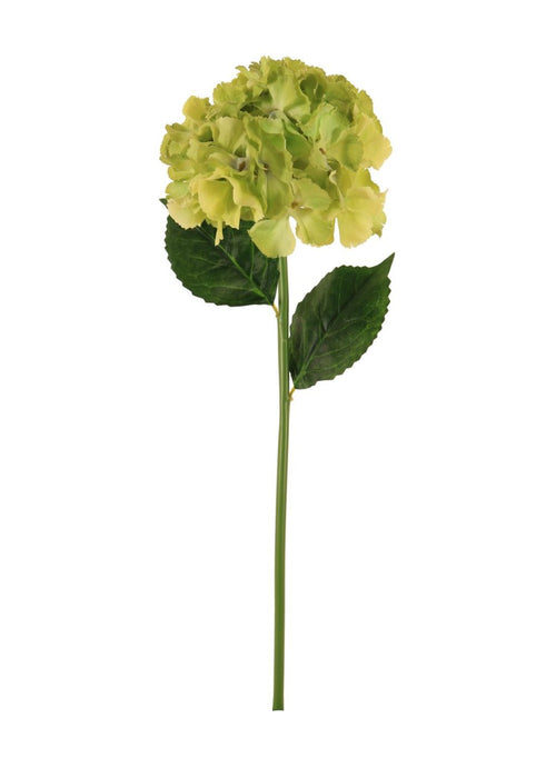 French Hydrangea (short Stem)