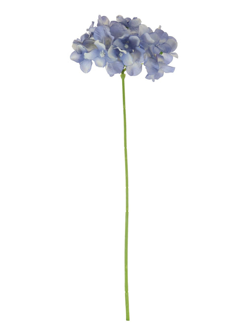 Hydrangea (thin Stem)