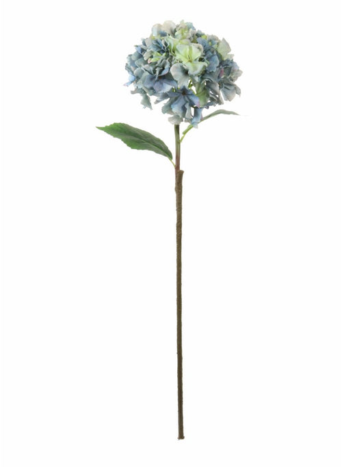 French Hydrangea (long Stem)