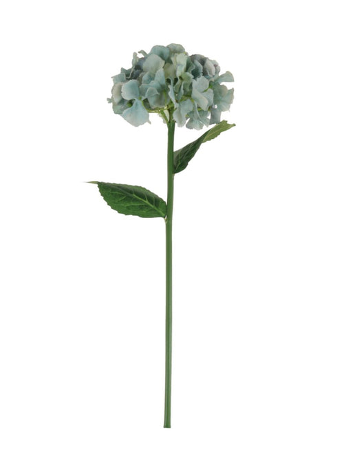 French Hydrangea (short Stem)