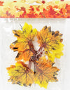 Autumn Decoration Pack No: 2 <br/>(10 X Per Pack)